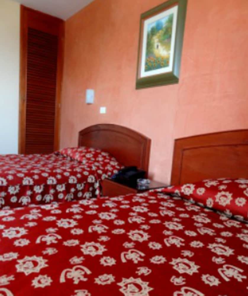 Twin Room photo 2