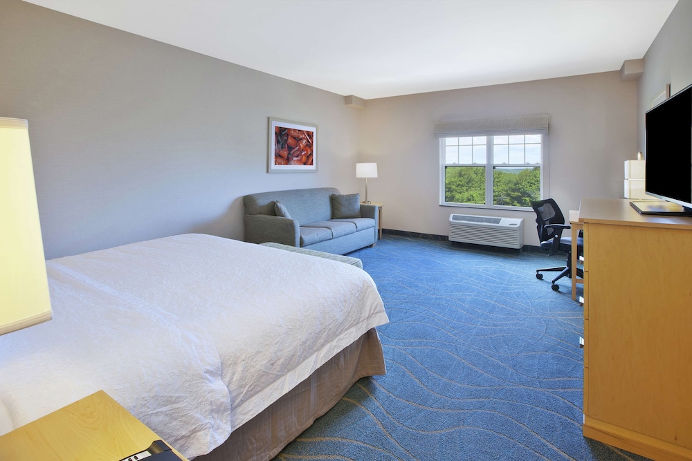 Room, 1 King Bed With Sofa Bed, Non Smoking, Refrigerator photo 1