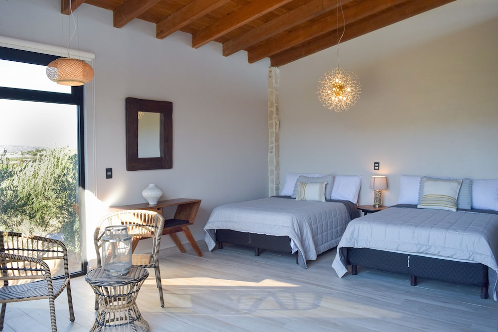 Family Double Room, Vineyard View