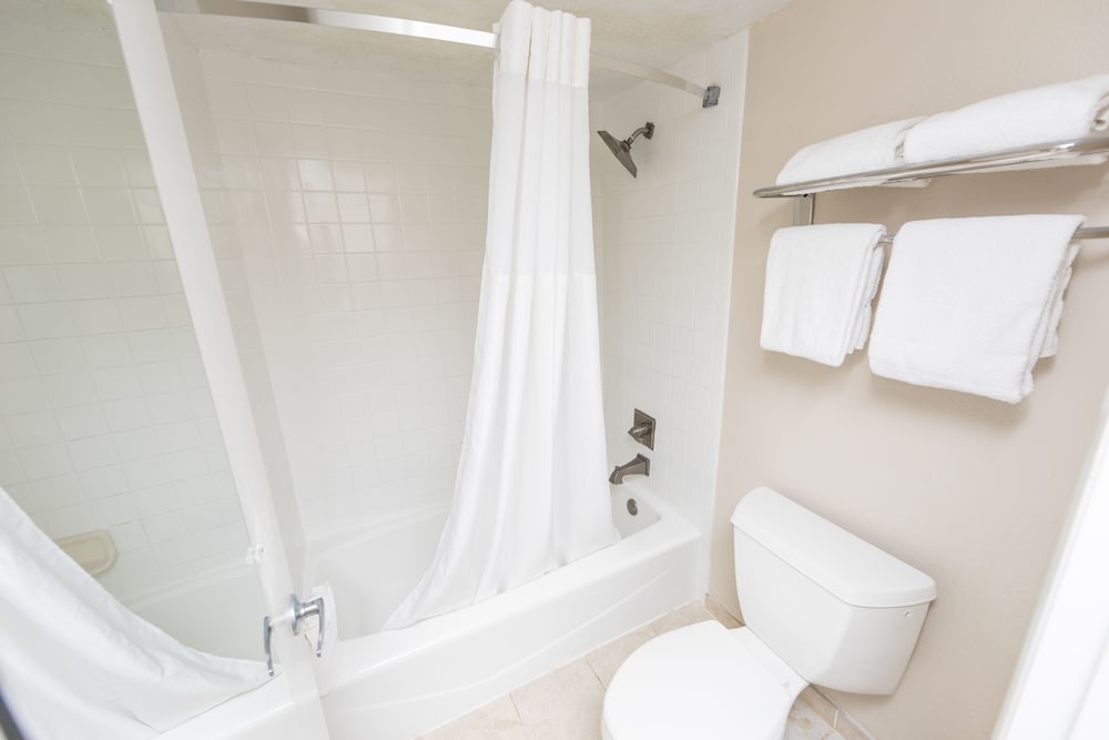 Premium Room, 1 King Bed with Sofa bed, Pool View photo 3