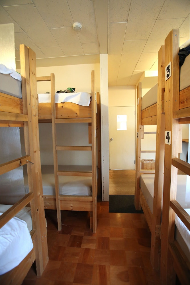 Basic Shared Dormitory (Male and Female Guest Mixed) photo 1
