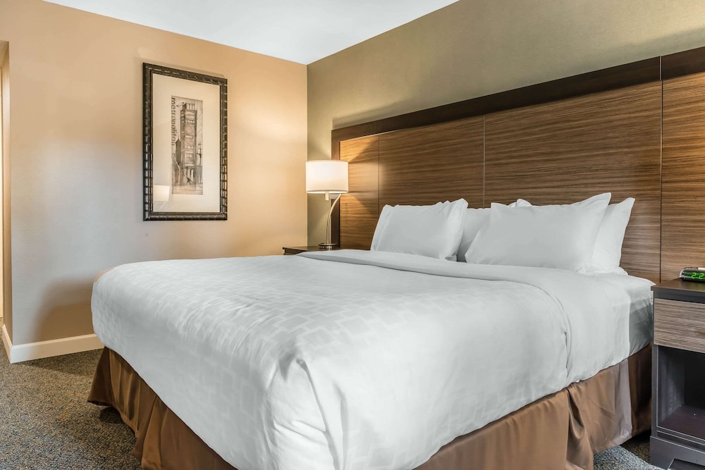 Standard Room, 1 King Bed, Non Smoking - Photo 4