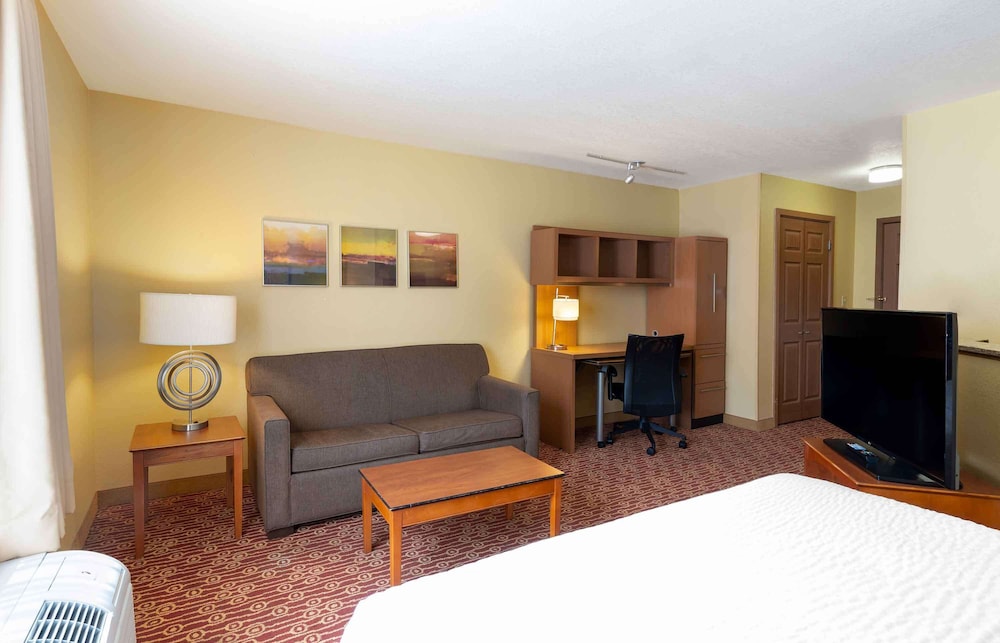 Deluxe Studio Suite, 1 Queen Bed with Sofa bed, Non Smoking, Kitchenette photo 3
