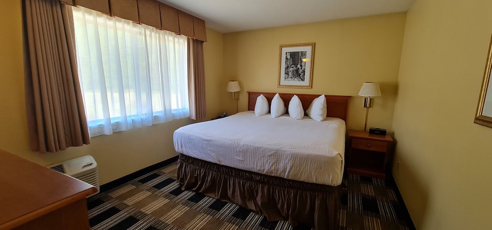 Single Room, 1 Bedroom photo 3
