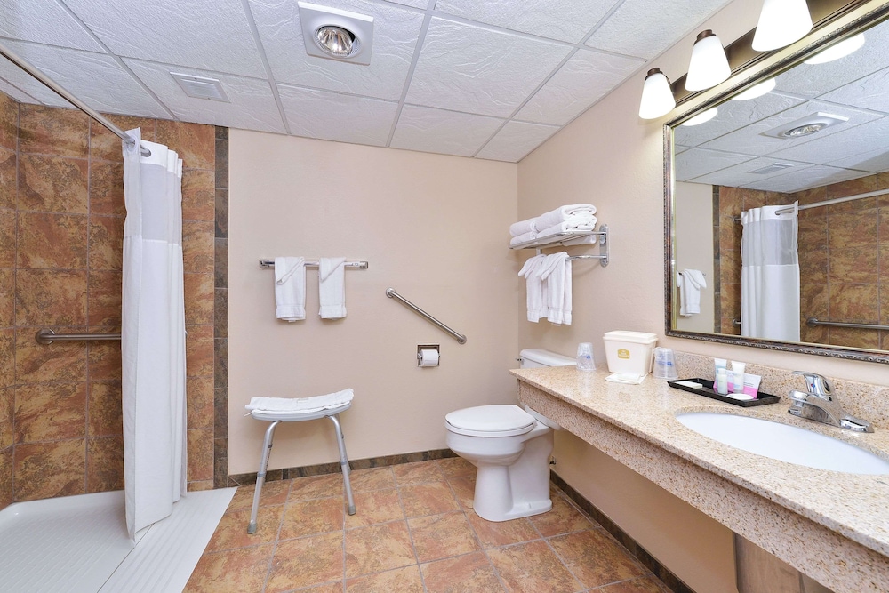 Standard Room, 1 King Bed, Accessible, Refrigerator & Microwave - Photo 4