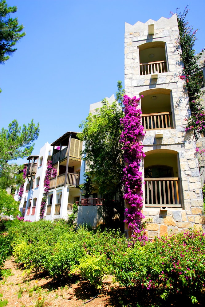 Standard Single Room, Sea View photo 2