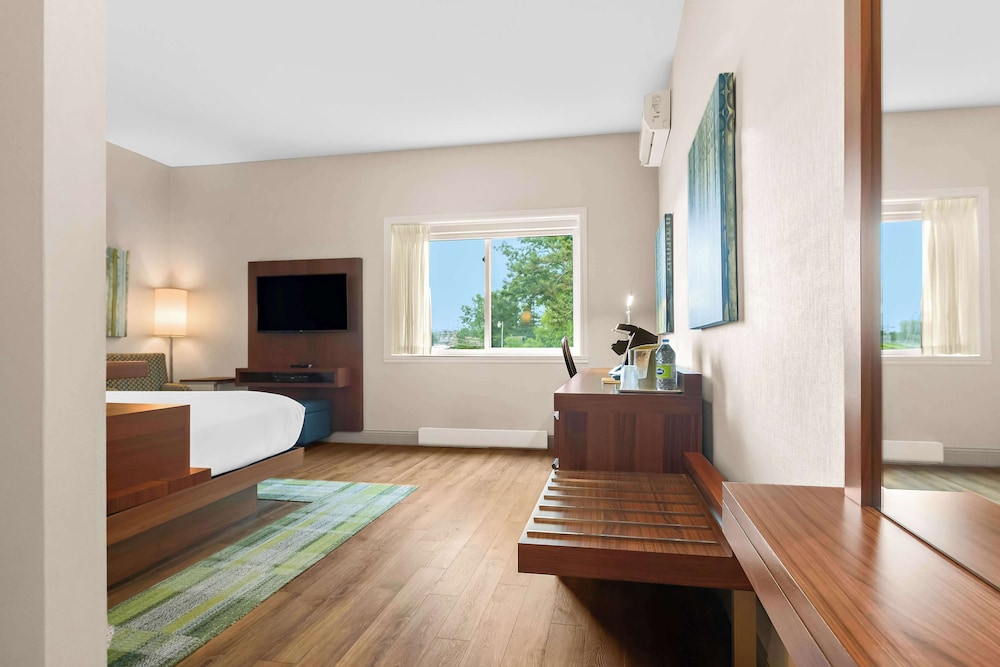 Business Room, 1 King Bed, Non Smoking, Refrigerator
