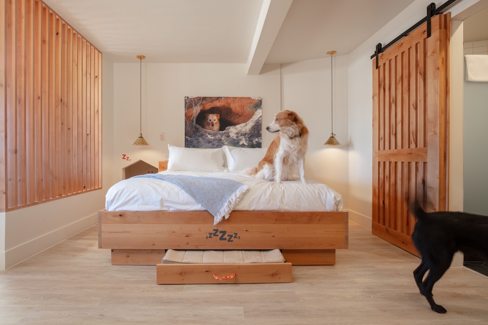Standard Suite, 1 King Bed (Accessible King Suite)
