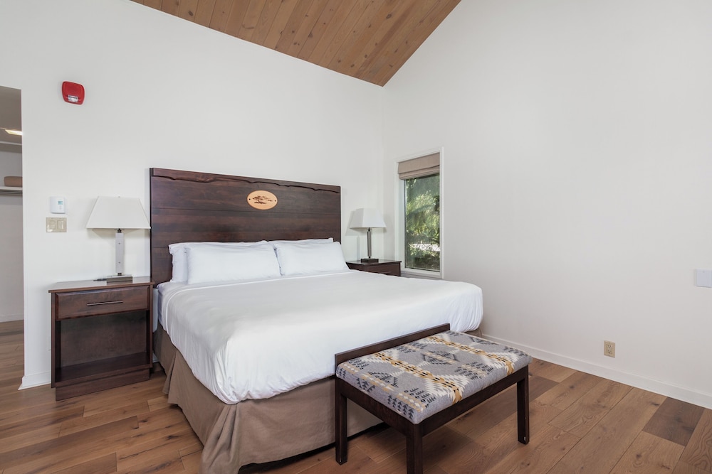 Room, 1 King Bed with Sofa bed (Premier King plus Sofa Bed) - Photo 3