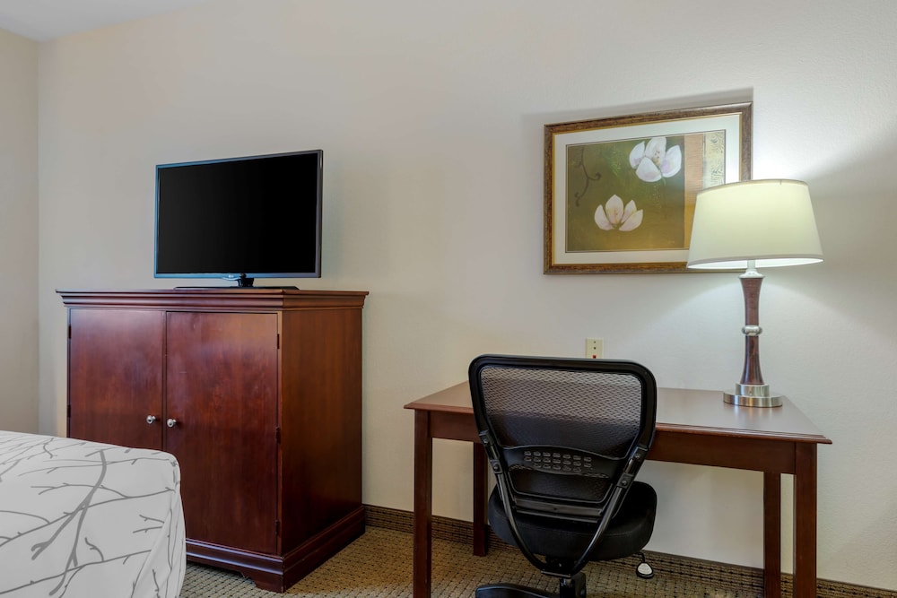 Standard Room, 1 King Bed, Non Smoking, Refrigerator & Microwave (Pet Friendly) photo 3