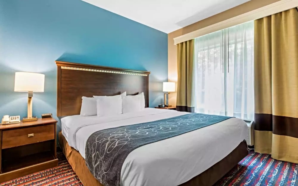 Business Room, 1 King Bed with Sofa bed, Accessible, Non Smoking - Photo 1