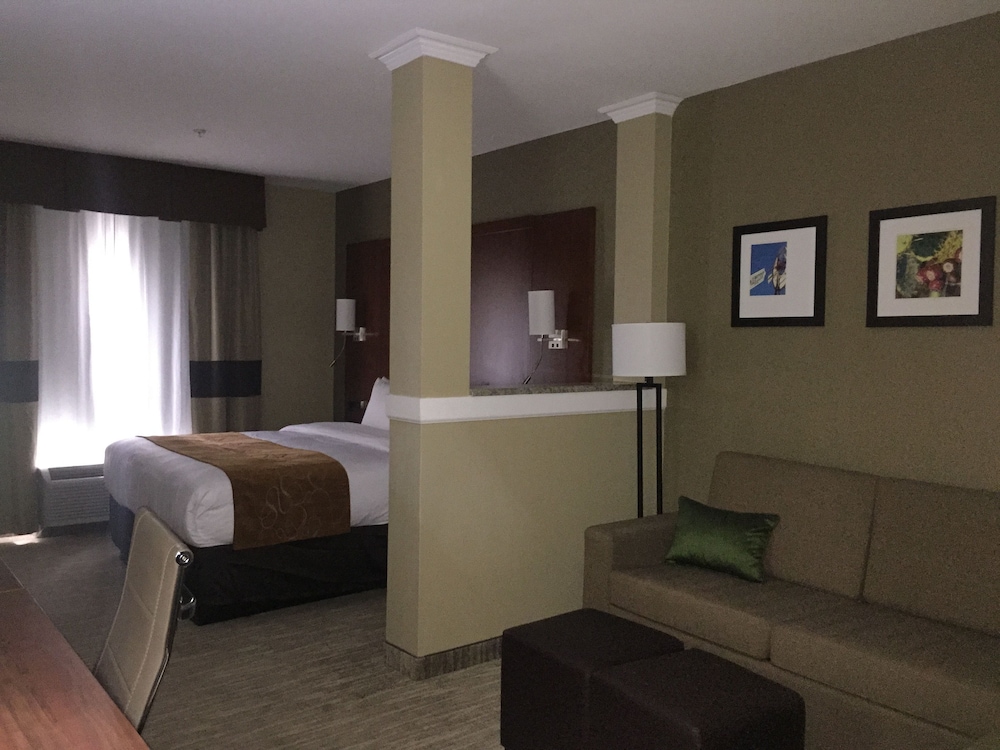 Suite, 1 King Bed with Sofa bed, Accessible, Non Smoking