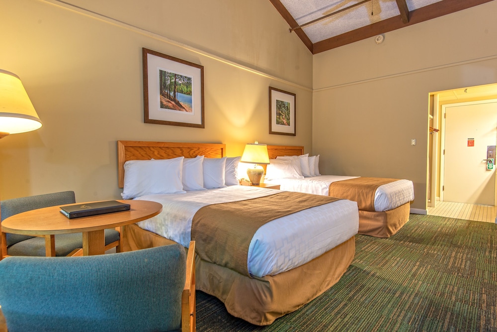 Deluxe Room photo 3