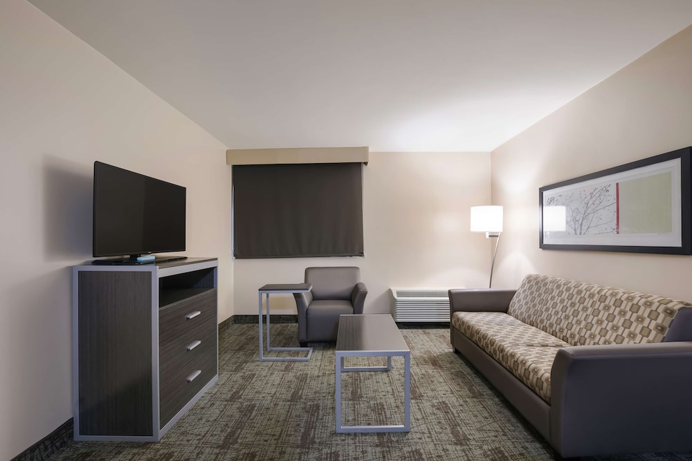 Suite, 1 King Bed, Non Smoking, Kitchenette (with Sofabed) - Photo 3