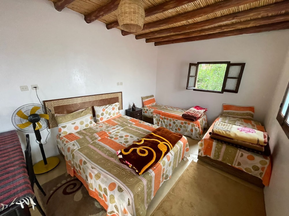 Family Triple Room photo 1