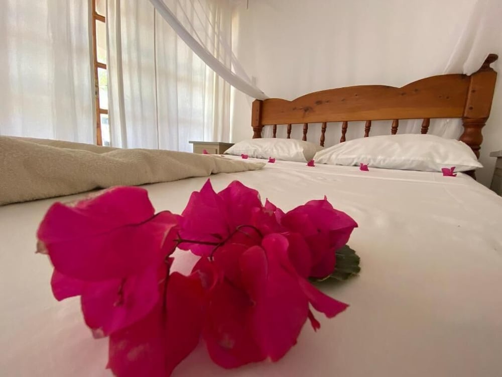 Premier Double Room, Balcony, Pool View photo 3