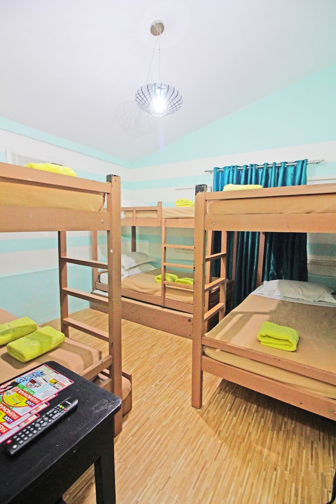 Standard Shared Dormitory photo 3