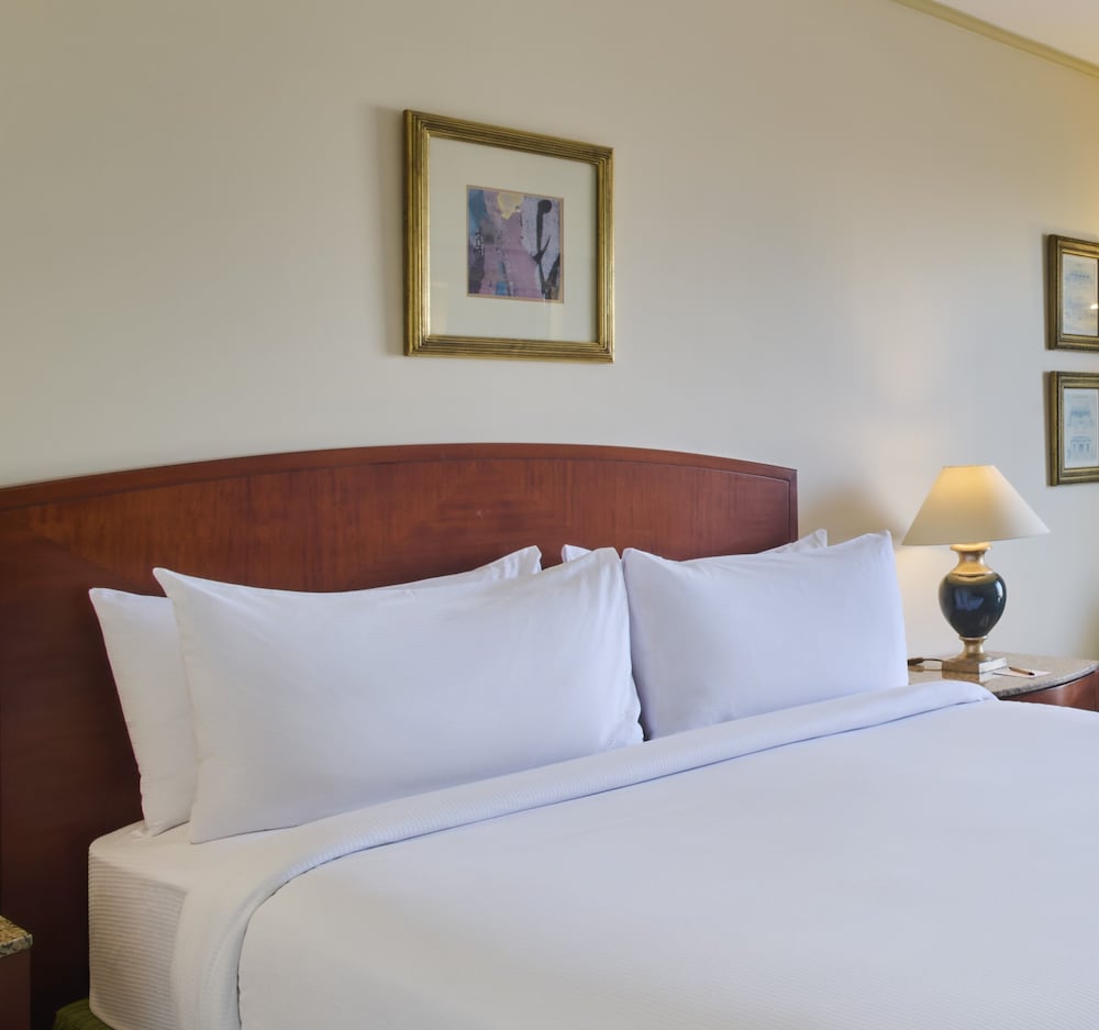 Executive Room, 1 King Bed (Nile View)