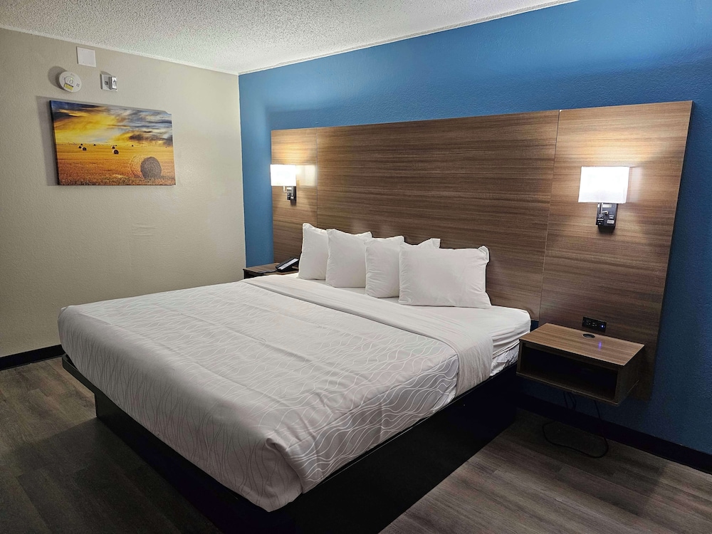 Standard Room, 1 King Bed, Accessible, Refrigerator & Microwave - Photo 4