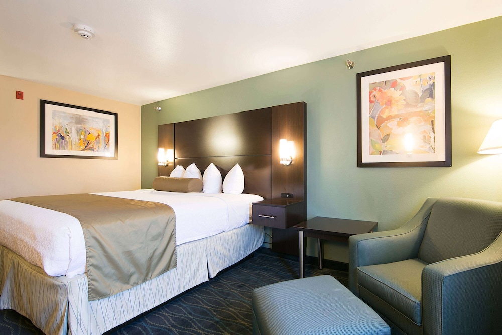Room, 1 King Bed, Non Smoking - Photo 1
