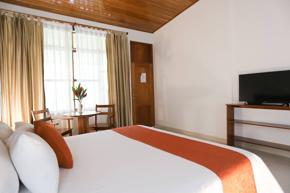 Superior Double Room, 1 King Bed, Terrace photo 2