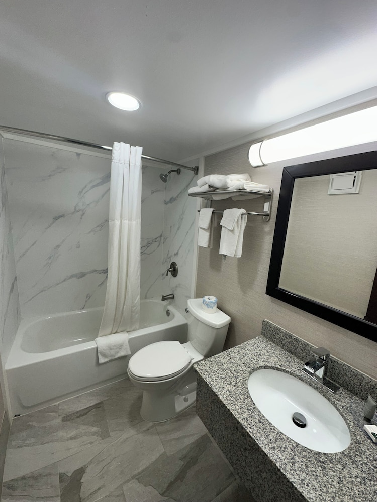 Deluxe Room, 1 King Bed, Refrigerator & Microwave photo 3