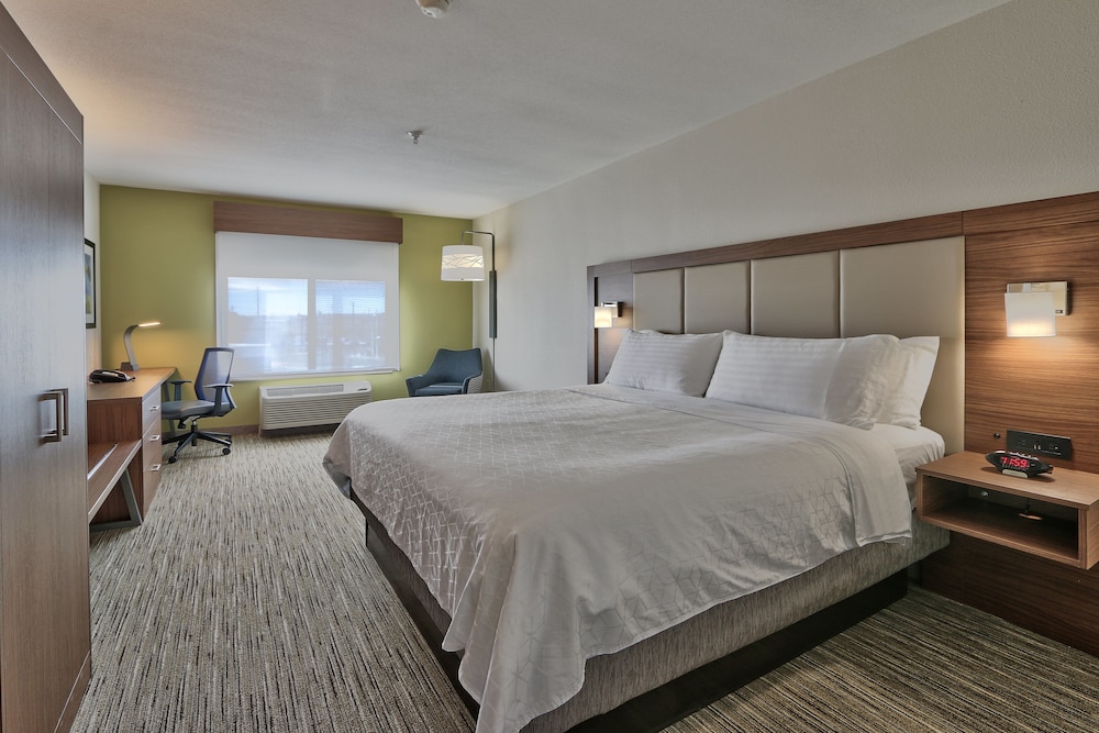 Suite, 1 King Bed with Sofa bed