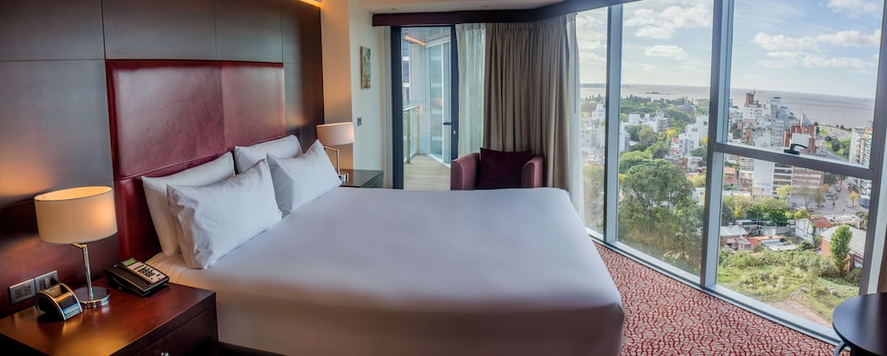Suite, 1 Bedroom photo 3