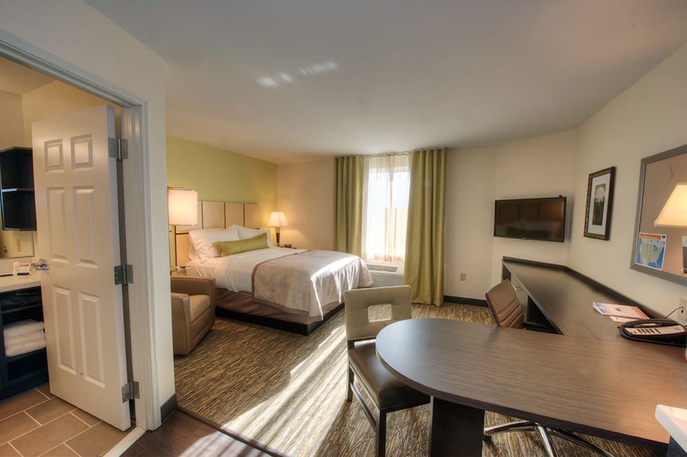 Studio Suite, 1 King Bed photo 2