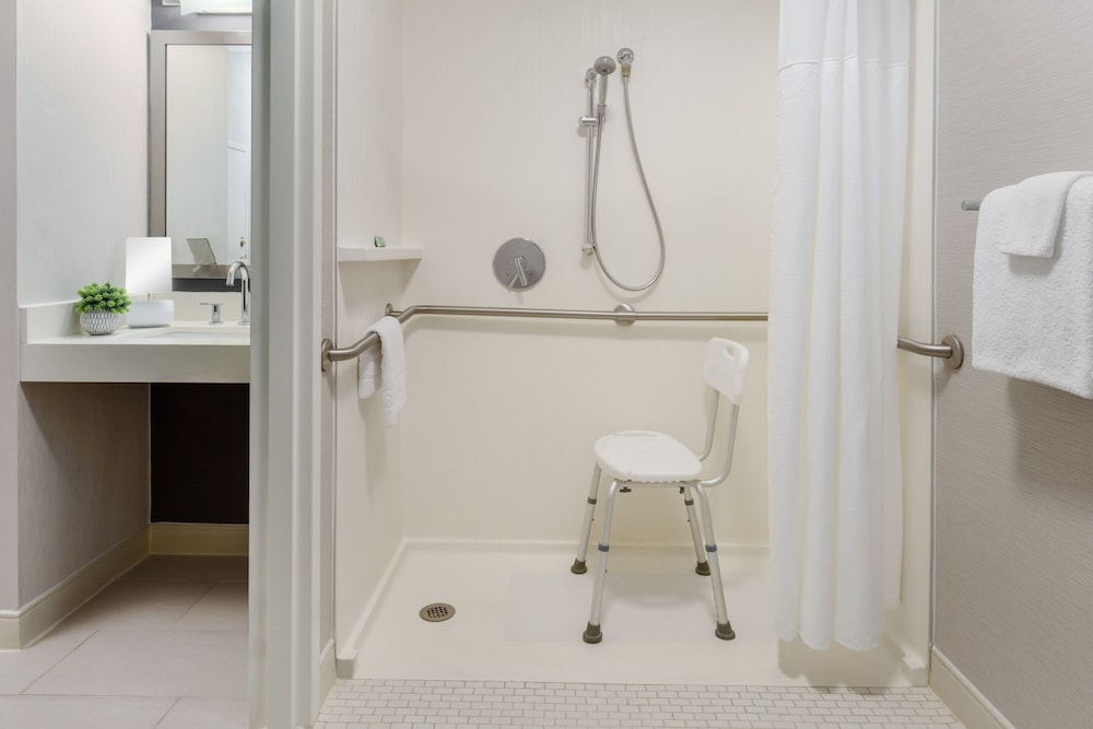 Room, 1 King Bed with Sofa bed (Mobility Accessible, Roll-In Shower)