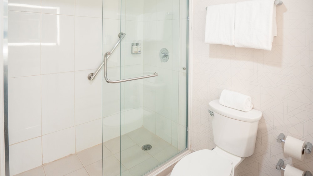 Suite, 1 Bedroom - Photo 7