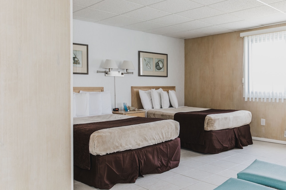 Family Double Room, 1 Bedroom, Kitchenette (Type E2, Building 1) photo 3