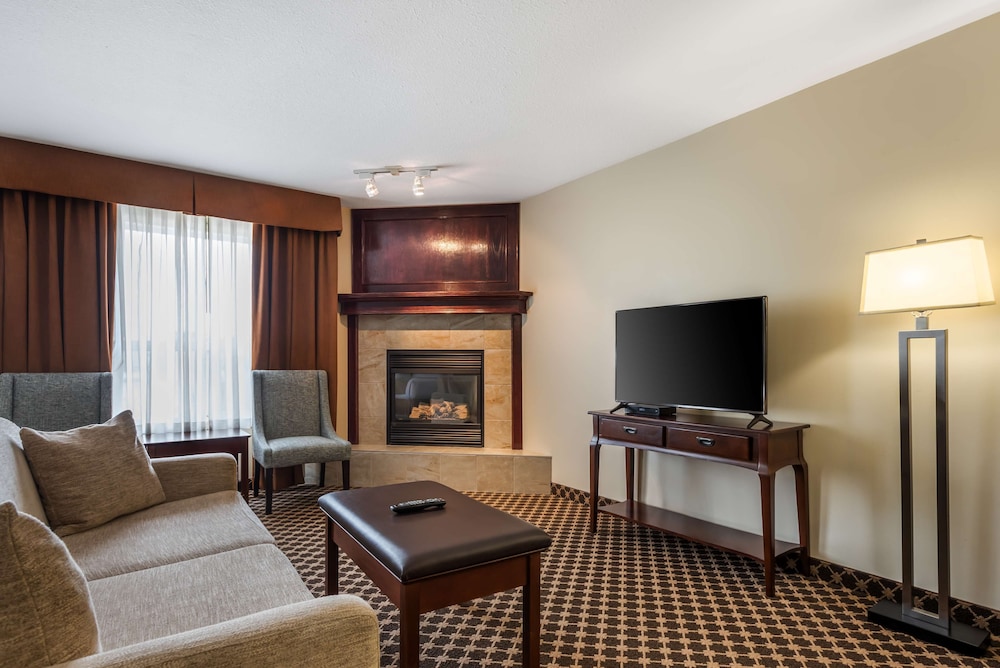 Standard Room, 1 King Bed, Non Smoking, Jetted Tub (Larger Room;with Sofabed) - Photo 4