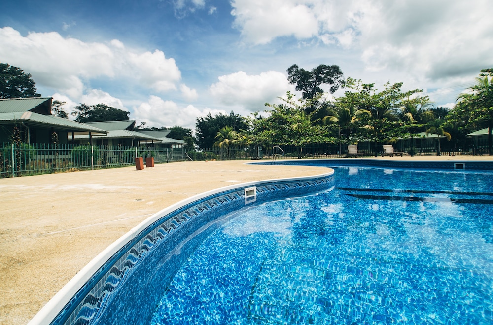 Large Bungalow photo 3