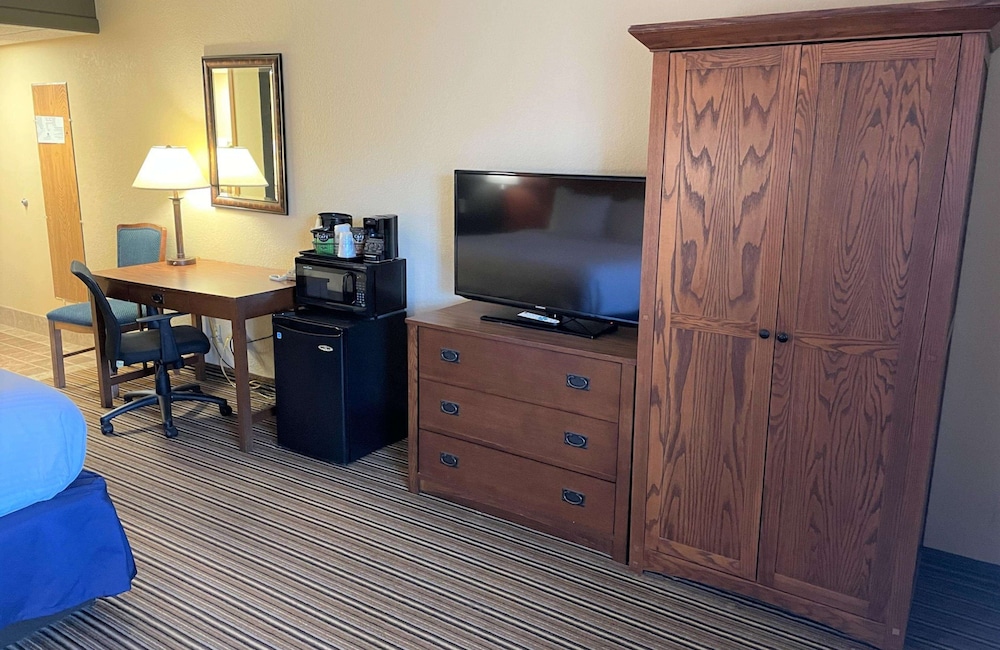 Standard Room, 1 King Bed, Non Smoking, Refrigerator & Microwave photo 3