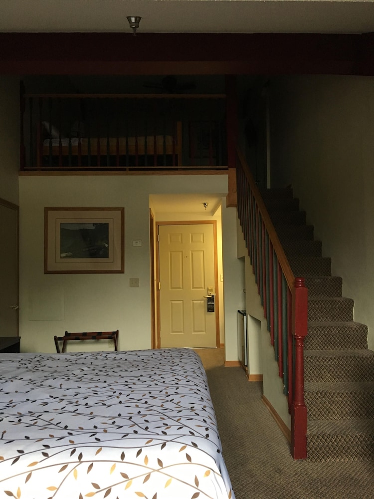 Loft Suite - 1 King photo 3