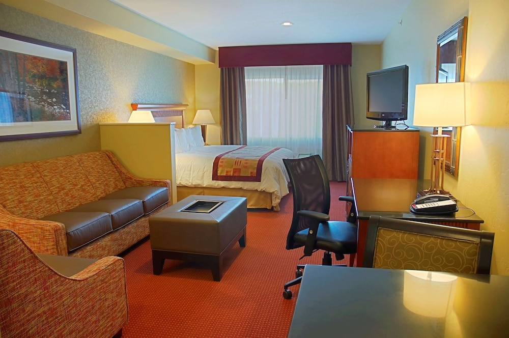 Suite, 1 King Bed, Non Smoking, Refrigerator & Microwave (with Sofabed) photo 3