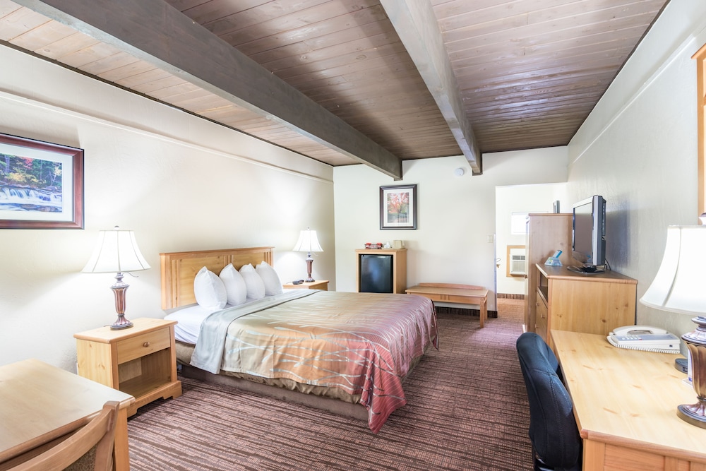 Single Room, 1 Queen Bed photo 1