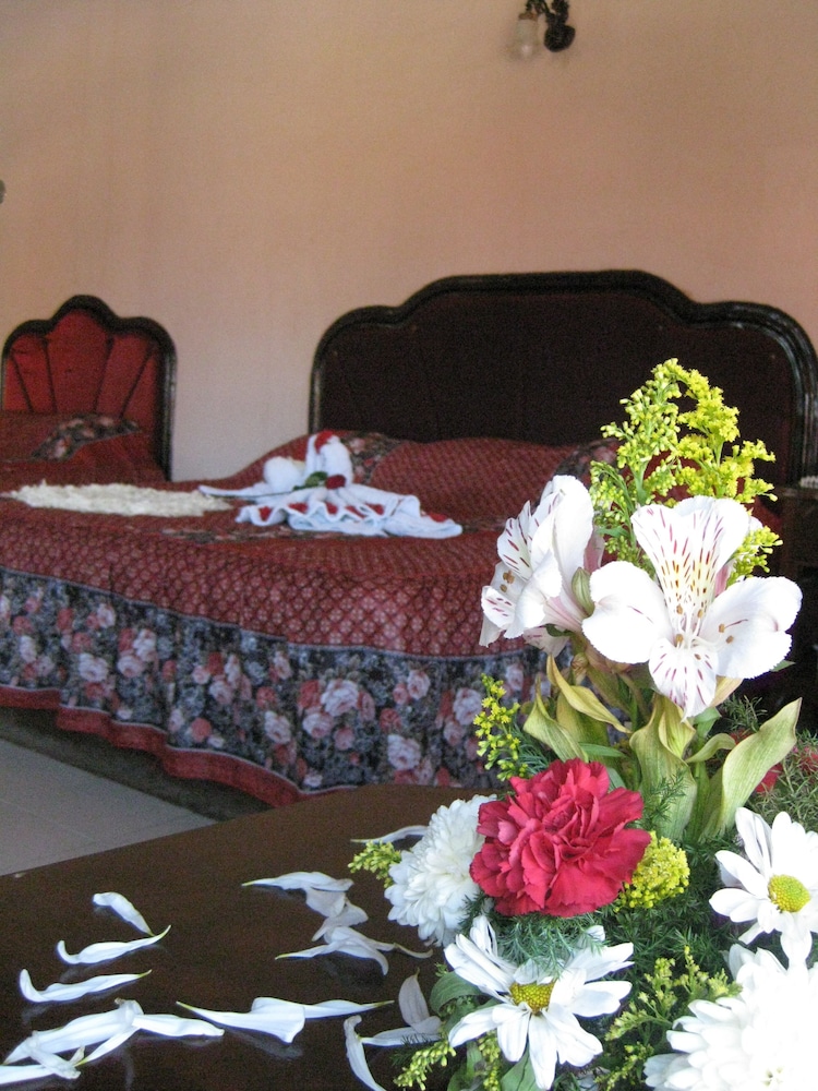 Standard Room, 1 Double Bed photo 1