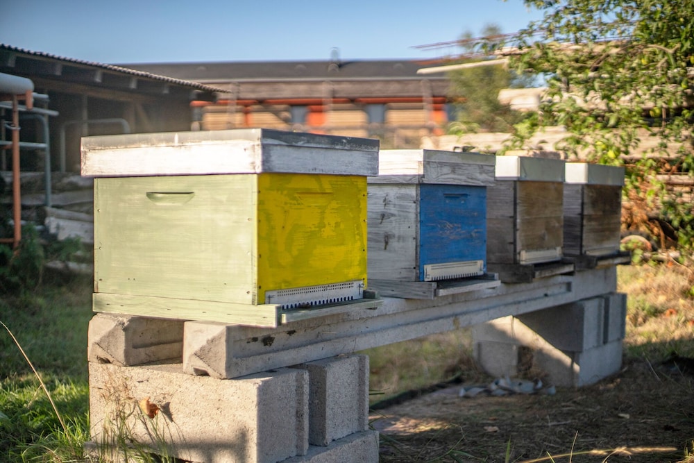 Le Jardin des 4 Saisons, Billede 3