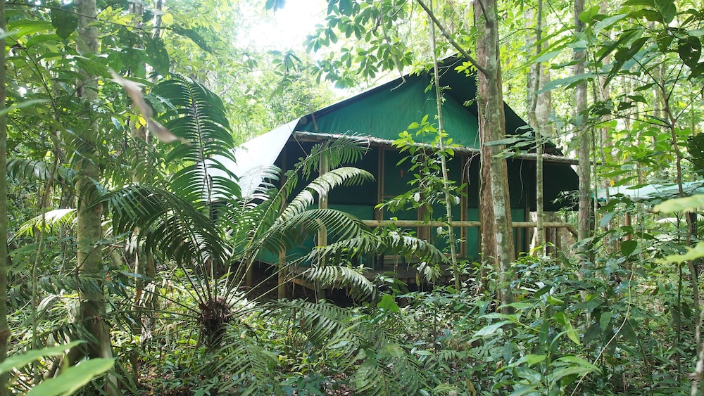 Family Room (Safari Hut) photo 1