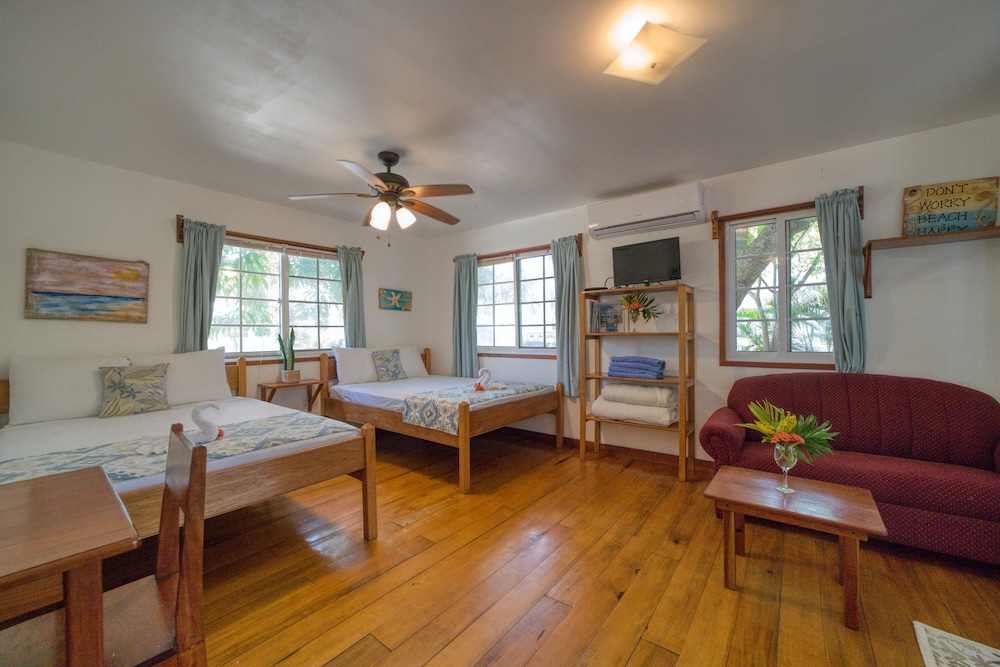 Toucan Studio Suite photo 2