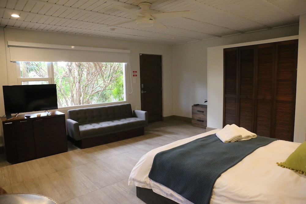 Suite Junior Estudio, con vista al jardín