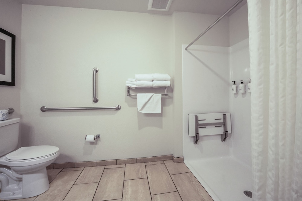 Room, 1 King Bed, Accessible, Non Smoking (Guestroom Audible/Visual Alert) - Photo 4