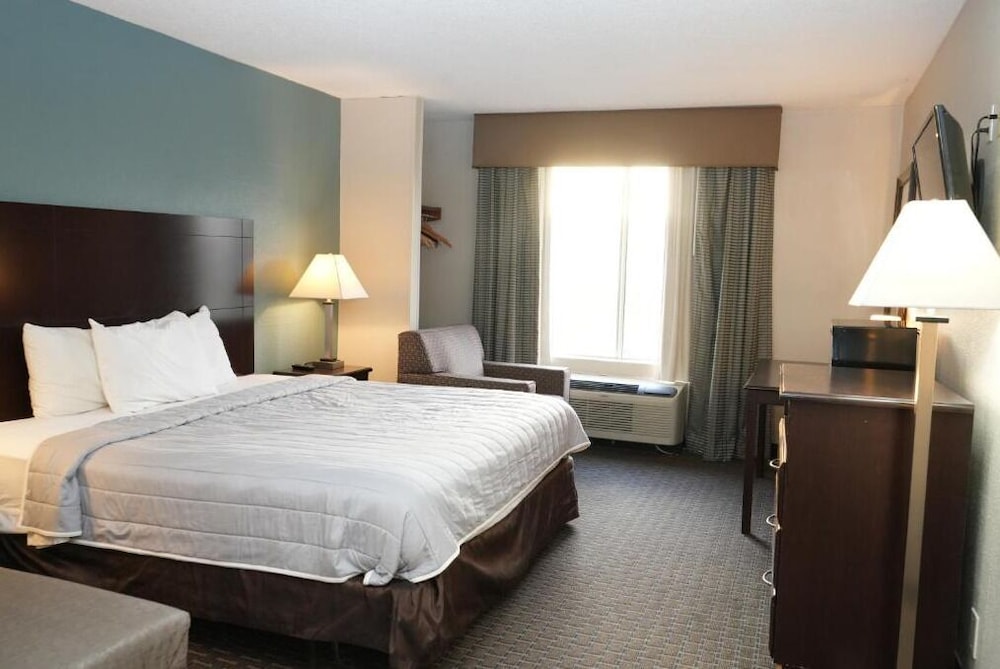Standard Room, 1 King Bed, Non Smoking - Photo 1