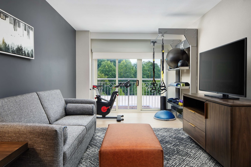 Suite, 1 King Bed, Accessible (Fitness Suite W/ Trx - Chin Up Bar) - Photo 2