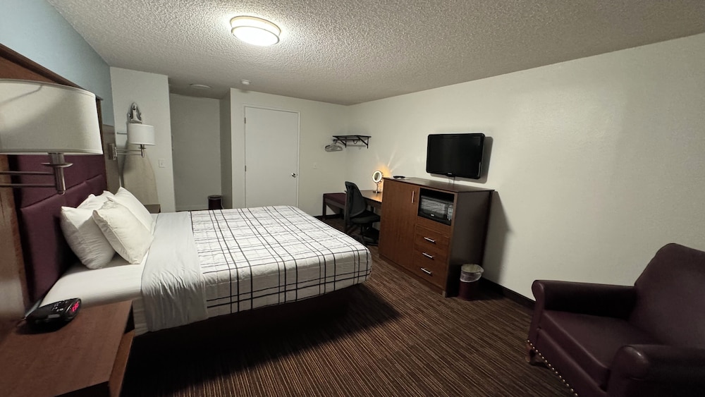 Standard Single Room, 1 King Bed - Photo 3