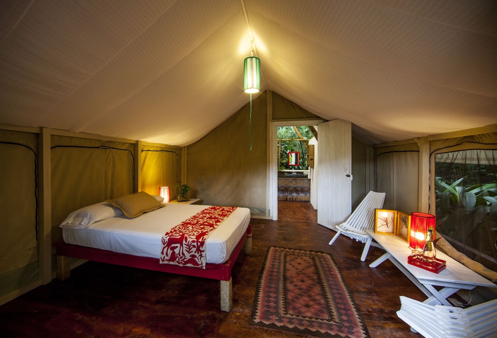Safari Glamping King photo 1