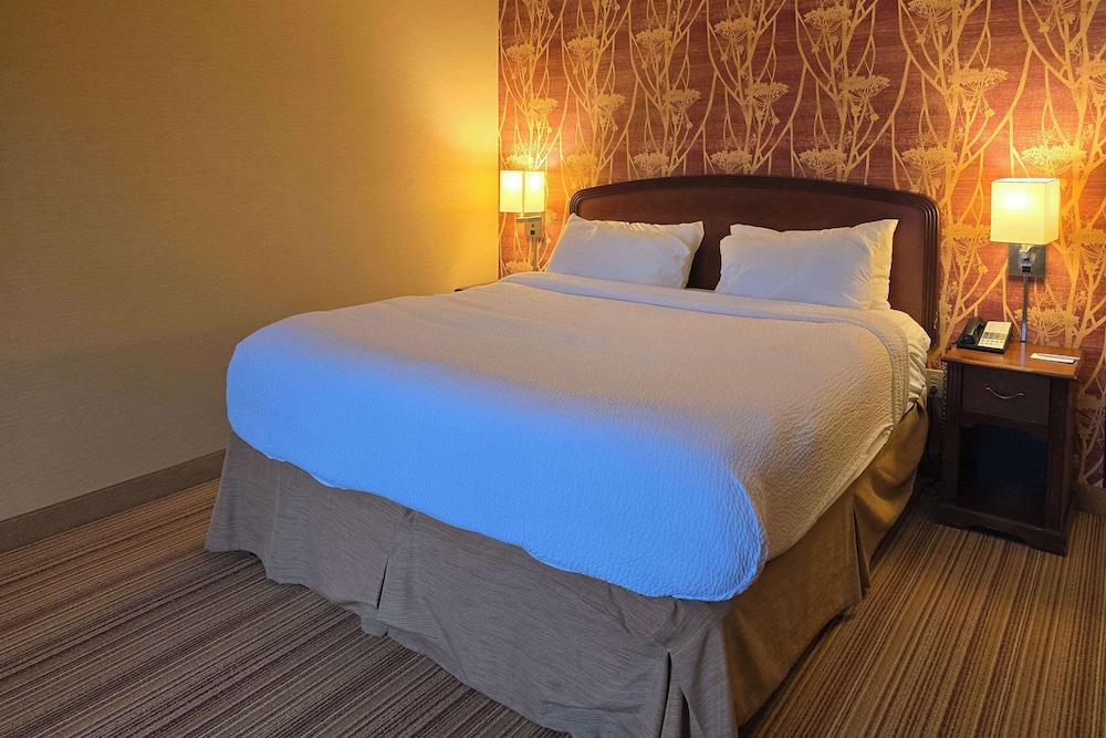Room, 1 King Bed, Accessible, Non Smoking - Photo 10
