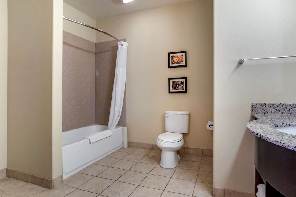 Suite, 1 King Bed, Non Smoking, Separate Seating Area and Wet Bar - Photo 4